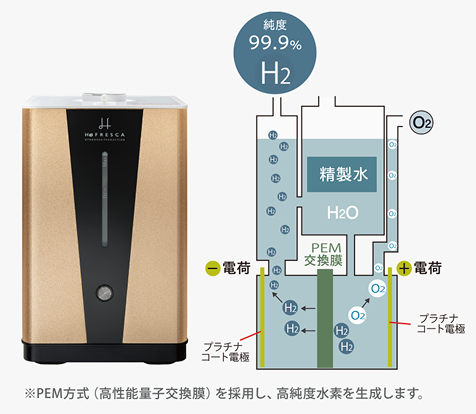 PEM方式（高性能高分子交換膜）の仕組み図